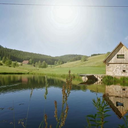 Ferienhaus Im Schwarzwald Am See "Backhaeusle" Βίλα Hornberg Εξωτερικό φωτογραφία