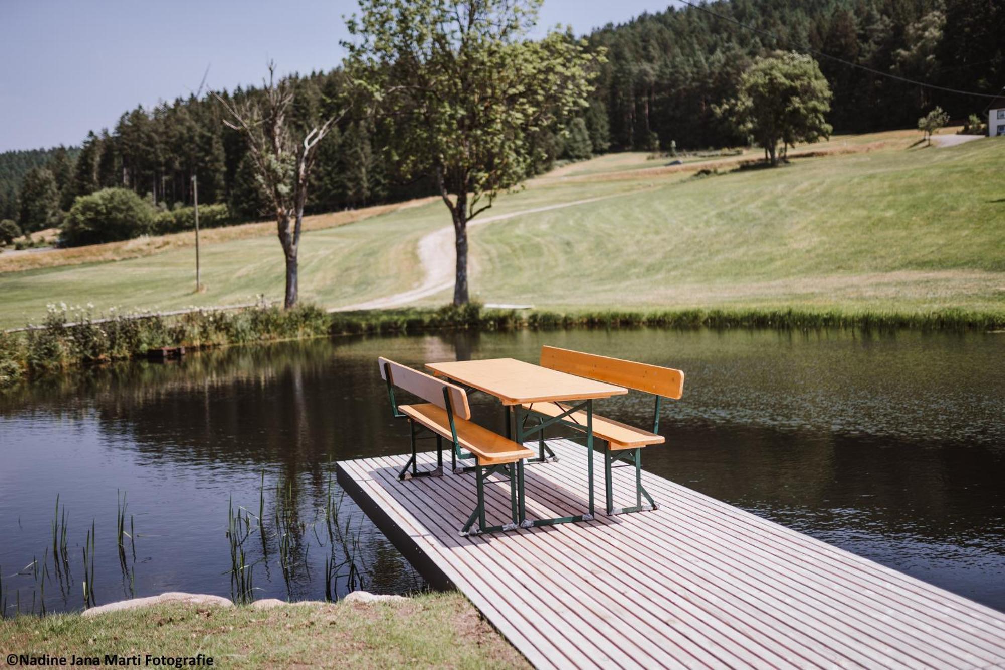 Ferienhaus Im Schwarzwald Am See "Backhaeusle" Βίλα Hornberg Εξωτερικό φωτογραφία